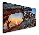 Auch für das geschäftliche Ambiente, bspw. Hotelzimmer, Gewerberäume, Arztpraxen, Kanzleien etc. werden sie bei uns fündig. Gestalten Sie Ihre Räume mit Bildern aus unserem Portfolio von über 20.000 lizensierten  Motiven bspw. aus den Kategorien: abstrakte Bilder, Strand und Meer, Natur, Tiere, Landschaften, Pflanzen, Speisen & Getränke, dezente Erotik und vielen mehr.