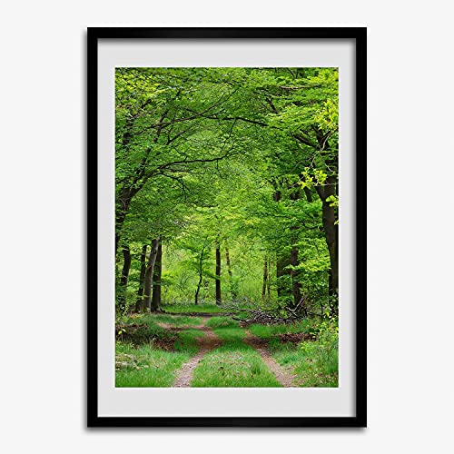 Peinture photo forêt verte sous cadre MDF 50x70 cm contre les murs vides