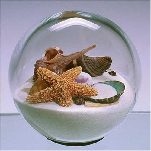 Sand & Shell Sandglobe Paperweight 4-inch White Sand - Thumbnail 4