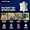 AF® - 4 Calcio per Tartarughe di Terra, 4 Pack Osso di Seppia per Tartarughe | Rilascia il Reptile calcium Lentamente, Evita il Cattivo Odore, Calcio Rettili, ossi di seppia per tartarughe