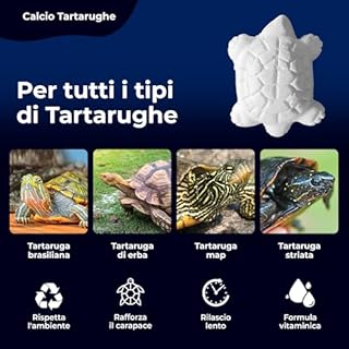 AF® - 4 Calcio per Tartarughe di Terra, 4 Pack Osso di Seppia per Tartarughe | Rilascia il Reptile calcium Lentamente, Evita il Cattivo Odore, Calcio Rettili, ossi di seppia per tartarughe