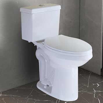 WinZo WZ5088DS 10" Rough-in Toilet Two Piece 20-inch Extra Tall Dual Flush Elongated for Seniors Elderly Tall Disabled Person,White
