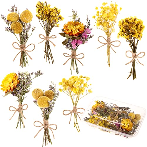 Mini Ramo de Flores Secas Gypsophila 8 Piezas miniatura 1