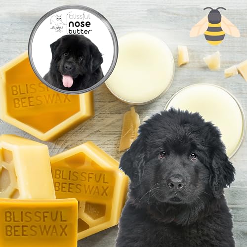 Image of The Blissful Dog Newfoundland Unscented Nose Butter - Dog Nose Butter, 8 Ounce