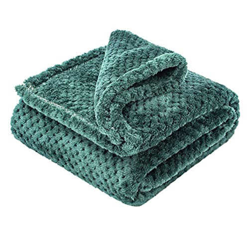 Image of Fuzzy Blanket or Fluffy Blanket for Baby Girl or boy, Soft Warm Cozy Coral Fleece Toddler, Infant or Newborn Receiving Blanket for Crib, Stroller, Travel, Decorative (40Wx60L, M-Black Green)