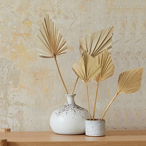 Boho Dried Palm Spears Small Natural Dried Palm Fans Dried Palm Leaves Dried Palm Leaf Palm Fan Leaf With Stem Dried Leaf Decor For Vase Wedding Party Office Home Wall Decor (Natural Color,5 Pieces) #TOP2