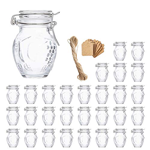 Spice Jars, Flrolove 30 Pack 3.5Oz Grape Shaped Glass Jars With Leak Proof Rubber Gasket & Hinged Lid,Small Glass Containers With Airtight Lids For Home, Party Favors #TOP9