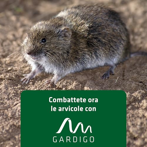 GARDIGO® 3x Trappole per Talpe e Arvicole | Scaccia Talpe | Repellente Talpe | Anti Talpe da Giardino | Trappola Arvicole | Cattura da 2 Direzioni | Trappola per Talpe | Dissuasore per Talpe - 7