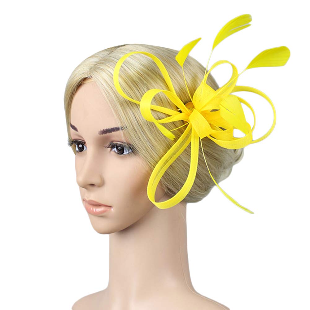 SIQITECHUKWomen Ladies Feather Fascinators With Headband Clip Wedding Bridal Flower Fascinator Hair Clip Pillbox Hat Derby Hat Wedding Bride Headwear Hair Accessories
