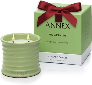 Scented Luxury Candles Outdoor Mosquito Bug Repellent Ceramic Jars, Soy Wax | The Green Life, Large Natural Candle - Green Melon & Peppermint | Non Toxic, 2 Wicks, Reusable Jar