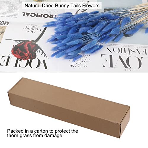 Xhxstore 120Pcs Dried Bunny Tails Flowers Blue Rabbit Tail Grass Lagurus Ovatus Dried Grass Bouquet For Home Wedding Party Table Diy Dry Floral Arrangement Decor (17") #TOP4
