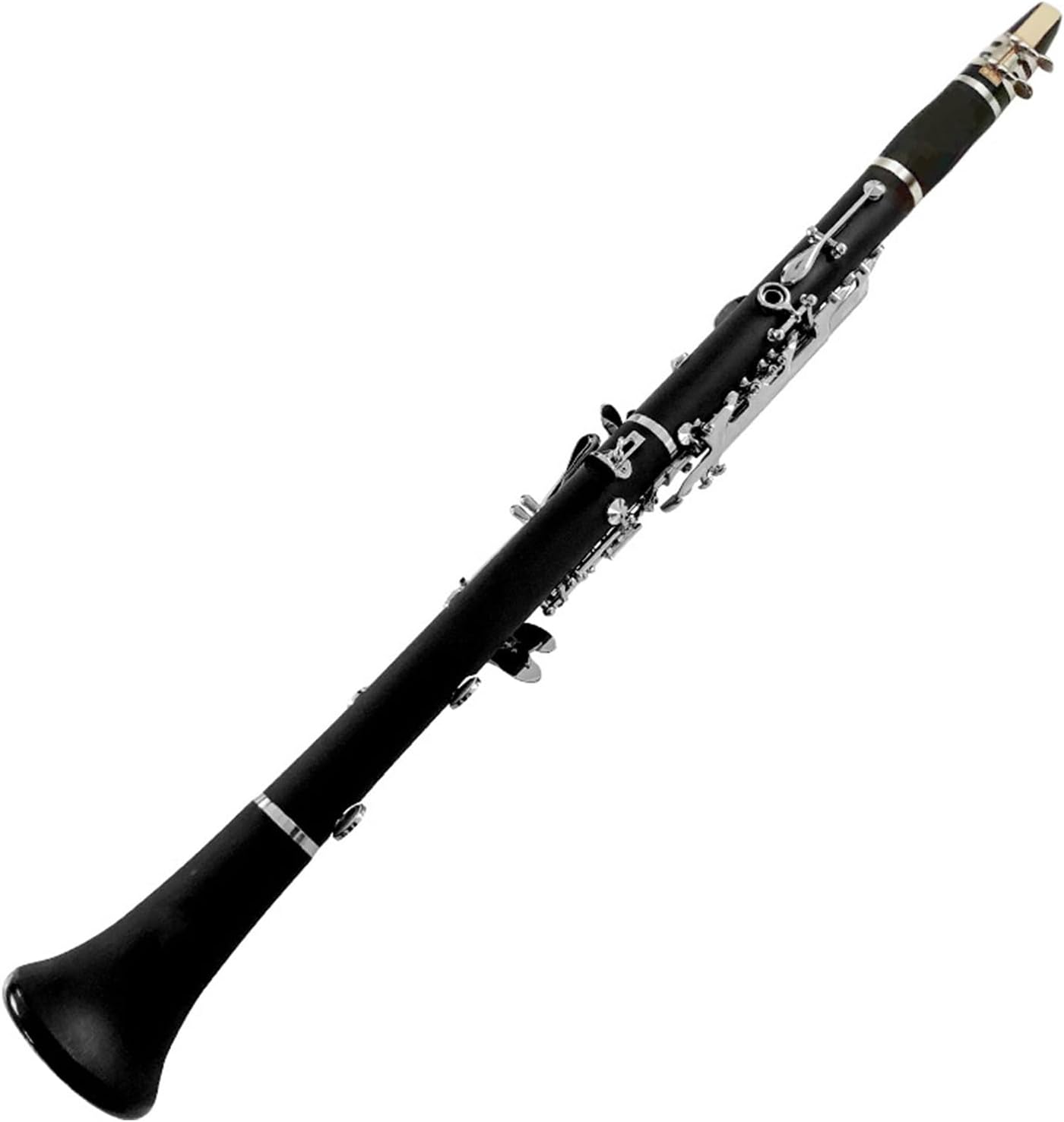 Professional 17 key clarinet beginner instrument