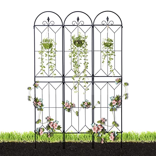 Treillis pour plantes grimpantes et rosiers créez un mur végétal sur votre terrasse