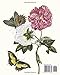 Vintage Art: Maria Sibylla Merian: 20 Botanical Prints: Entomology Ephemera for Framing, Home Decor, Collage and Decoupage