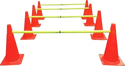 Dog training cones Clearance