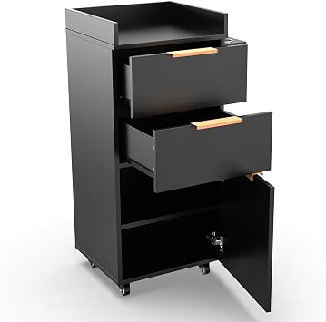 OmySalon Salon Trolley with Wheels, 2 Drawers & 1 Storage Cabinet, Salon Cart for Hair Stylist, Portable Styling Station for Barbershop Beauty Spa, Black