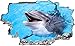 Delfine Wasser Tier Wandtattoo Wandsticker Wandaufkleber C1300 Größe 60 cm x 90 cm