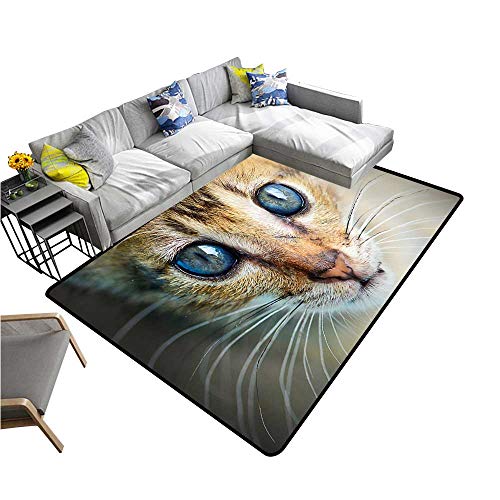 Hipzeepo Adattatore di Montaggio con Foro di Montaggio da 1/4 per Gabbia per Fotocamera DSLR, Flash Ttl, Luce LED, Barra di Estensione per Rig DSLR, Attacco Nero+Rosso.