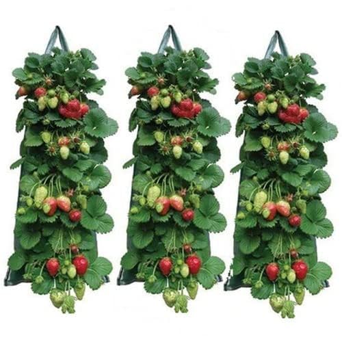 Hanging Strawberry Planter Durable Thickened Aeration Fabric Grow Bags Upside Down Vegetable Planter Patio Garden Container with 8 Planting Holes and Reinforced Handles (3)