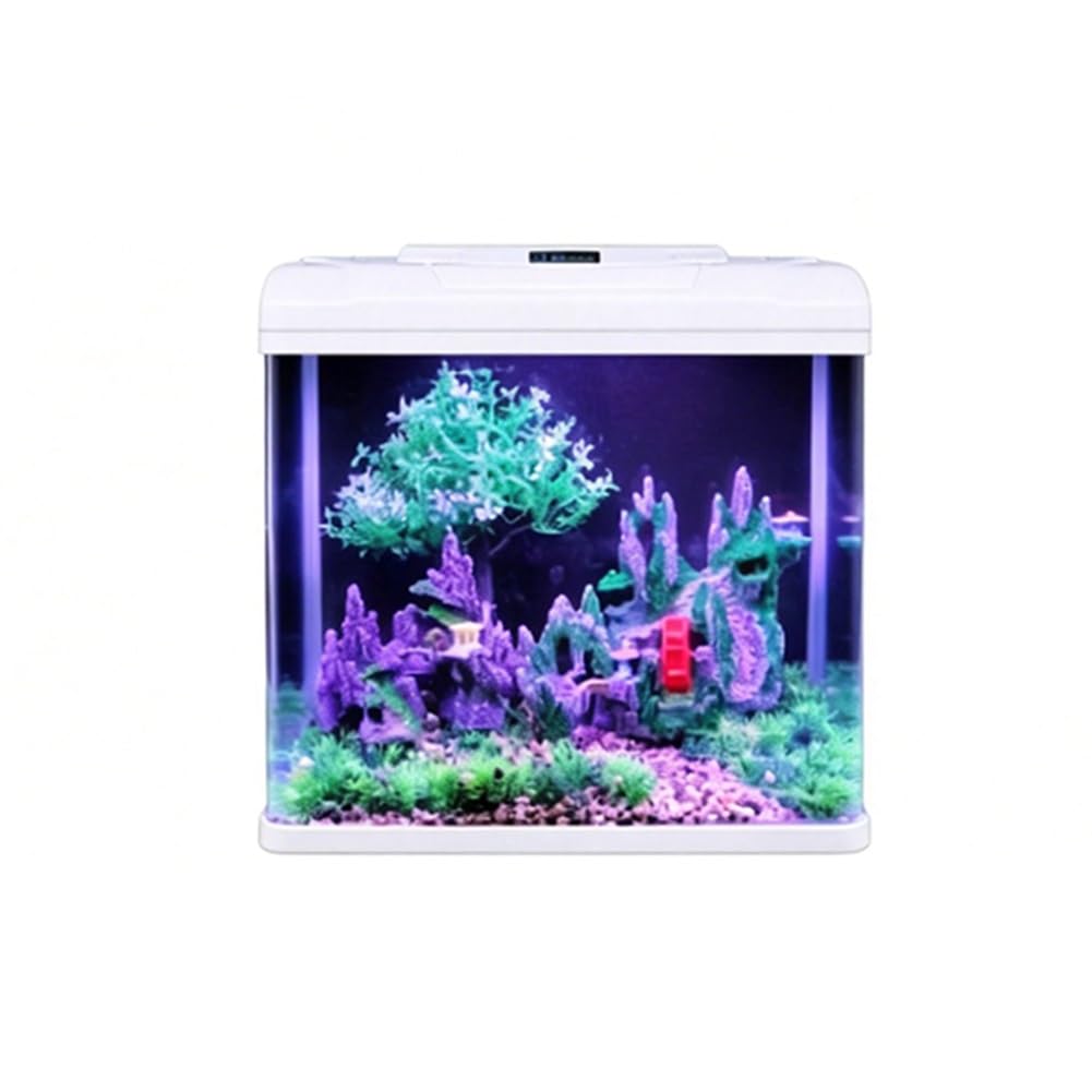 Kit de Acuario Escritorio Vidrio