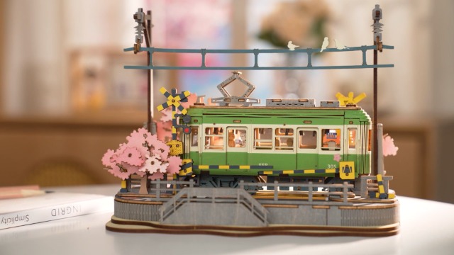 Amazon.com: Wowood 3D Wooden Puzzles for Adults-Sakura Journey