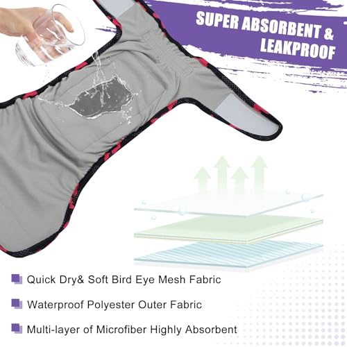 Image of Female Dog Diapers Reusable No Tail Hole Period Panties Washable 3 Pack Diapers Female for Docked-Tail Frenchie French Bulldog Boston Terrier Without Tail U-WWD02S