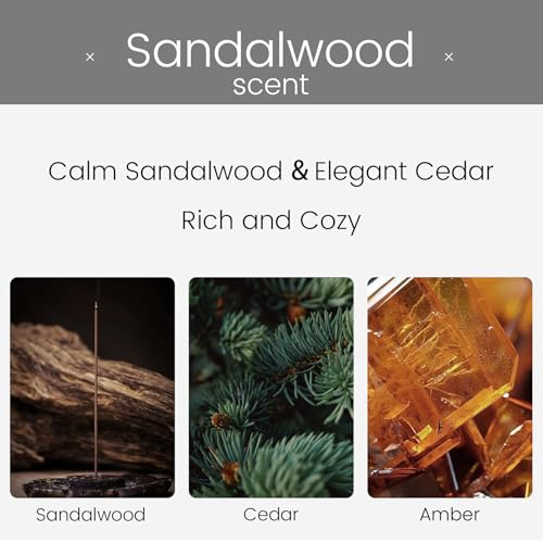Image of Hanging Car Air Freshener, Shiny Black Sandalwood Scent Cute Fragrance Oil Long Lasting Air Diffuser Car for Men