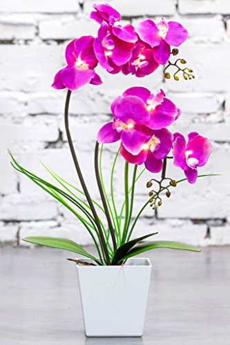 Homeseasons Pre-Lit Artificial Orchid Arrangement, Led Orchid Plant With 9 Lights (Purple, No Timer Function) #TOP2