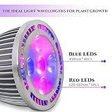 Rozway Premium 5W LED Grow Light Bulb | HIGH YIELDS | Grow Lights for Indoor Plants, Grow Lamp for Hydroponics Greenhouse Organic, Plant Lights E27 Socket