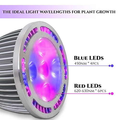 Rozway Premium Grow Light | HIGH YIELDS | Dual Head LED Grow Lamp for Plants 360° Goosenecks w/Dual Switches. Grow Lights for Indoor Plants, Hydroponics Greenhouse Gardening Bulbs (5W-Bulb)