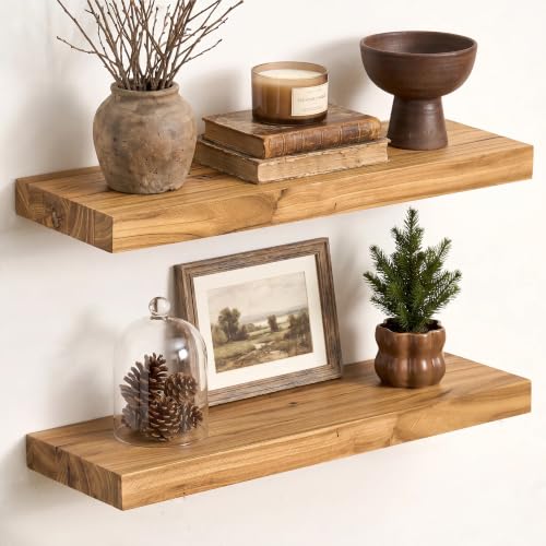 Image of Fun Memories 20 inch Wall Mounted Floating Shelves, Natural Elm Wood, 2 Pack