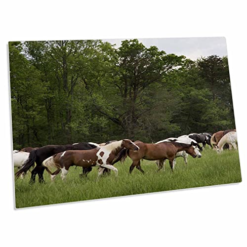 3dRose Tennessee Desk Pad Place Mat 23 x 16 pulgadas miniatura 1
