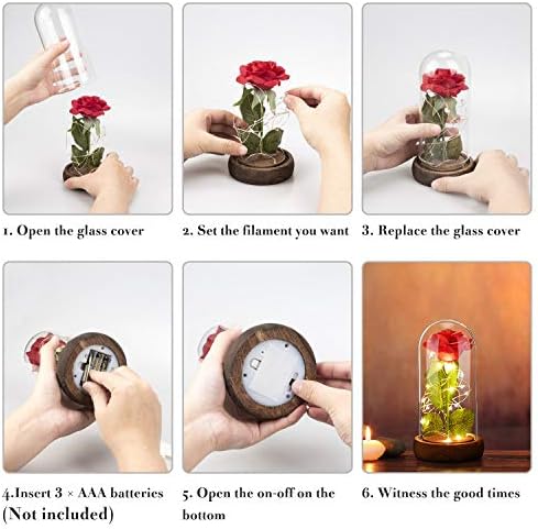 Forever Rose Flower with 20 LED Light, Best Romantic Present Ideal for Girlfriend Mother on Valentines Day, Birthday, Mothers Day, Wedding, Anniversary, Christmas, Home Roses Gift for Her