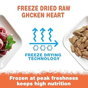 Freeze Dried Chicken Heart Pet Treats 5.3 oz, Freeze Dried Raw Single Ingredient Dog Treats, Training Treats, Meal Toppers for Dogs Cats, High Protein, Grain Free, Gluten Free Freeze Dried Chicken Heart Pet Treats 53 oz Freeze Dried Raw Single Ingredient Dog Treats Training Treats Meal Toppers for Dogs Cats High Protein Grain Free Gluten Free