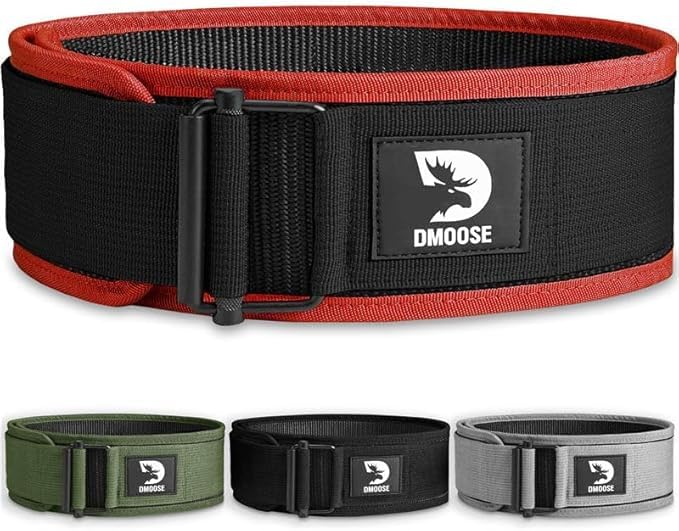 DMoose Weight Lifting Belt - Auto Locking Gym Belt for Olympic Training, WOD, Cross Training for Men and Women - 4" Nylon Workout belt with Adjustable Buckle - Provides Lumbar Support and Stability