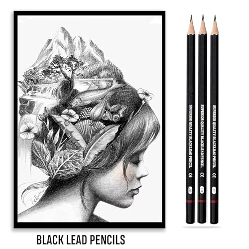 Image of Sketch Pencil Set, Drawing Pencil Set and Shading Tool Kit for Artists, Perfect Sketching Kit of Charcoal Pencils and Shading Art with Carry Box and A5 Sketch Book (48 Pieces)