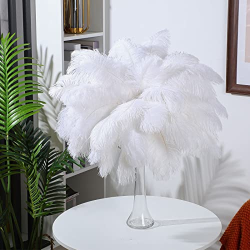 150 Pcs Ostrich Feathers Plumes Bulk 12-14 Inch (30-35 Cm) Natural Feathers For Diy Crafts Wedding Party Centerpiece Barrettes Cocktail Hats Dream Catchers Clothing Home Art Decoration (White) #TOP2