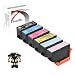 Produktbild PerfectPrint Kompatible Tintenpatrone für Epson XP-8000 XP-8005 XP-8500 XP-8505 XP-8600 XP-8600 XP-8605 378XL (BK/C/M/Y/LC/LM, 6 Stück)