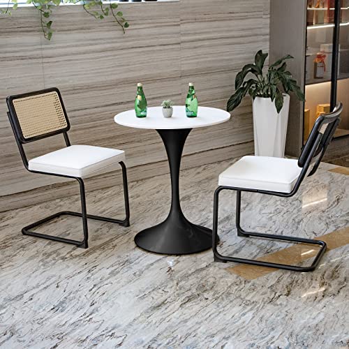 Meetleisure Patio Dining Chair Set Of 2 With Waterproof Design Fabric For Outdoor Mid-Century Modern Chairs With Metal Chrome Legs, Armless Mesh Back Cane Chairs, Home Dining Accent Chairs, Beige #TOP2