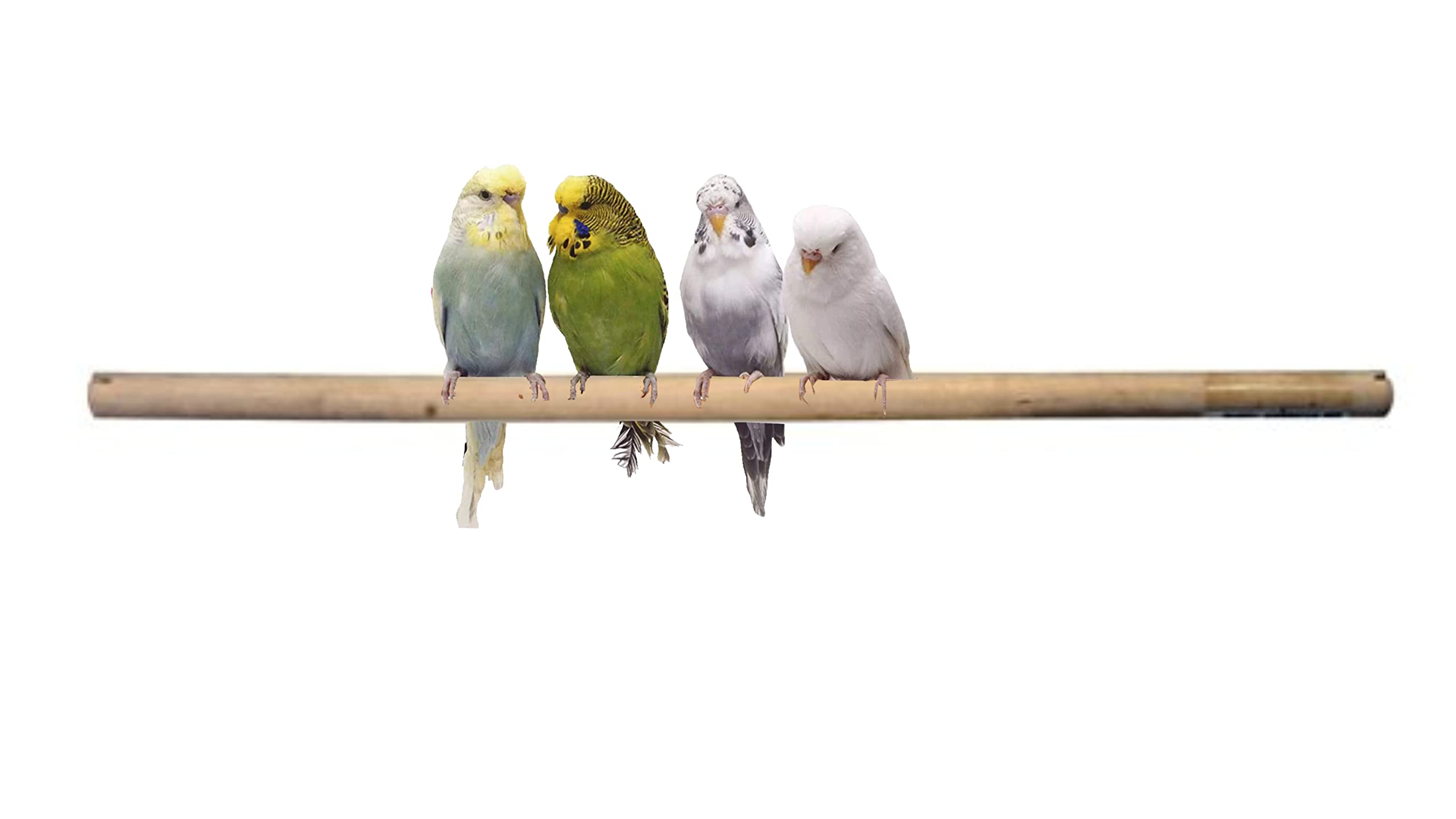 KSK Natural Wood Perches for Bird Cage for Bird (B076GPBS2B) Amazon Price History, Amazon Price Tracker