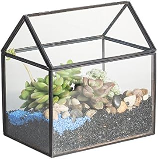 NCYP 15.5x11x16cm Black House Shape Close Glass Geometric Terrarium Pot with Swing Lid, Tabletop Brass Decor Box, Indoor Garden Small Planter Container for Succulent Moss Fern (No Plants Included)