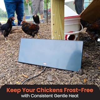 Cozy Products CL Cozy Safe Chicken Coop Heater 200 Watts Safer Than Brooder Lamps, One Size, Black