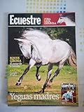 revista antigua de coleccionista