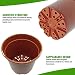 Murgiplast Macetas de plástico para Plantas y Flores, 17 cm, maceteros Decorativos...