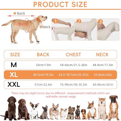 Image of Qpets Dog Rain Coat, Monsoon-Proof Waterproof Design with Clear Wide Brim Hood, Reflective Rim & Adjustable Elastic Leg /Belly Straps, Lightweight Anti-Wind Coat for Large Breeds, Outdoor Hikes (XL)