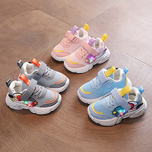 sfdgfhyf Toddler Low Heel Sneaker Children Sports Shoes Light Shoes Small White Shoes Light (Grey, 5-5.5 Years Little Child)4