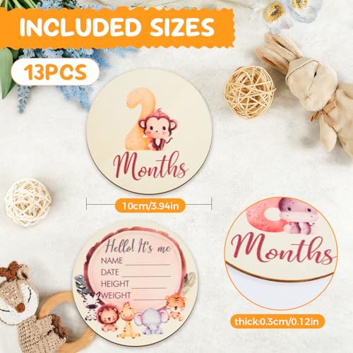 Image of Baby Monthly Milestone Signs - 13 Pack Wooden Baby Milestone Cards for 1-12 Months, Newborn Photography Props with Hello World Discs, Gender Neutral Baby Announcement for Boy Girl Age Shower Gifts