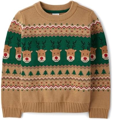 Gymboree Boys' and Toddler Embroidered Pullover Crew Neck Sweatshirt