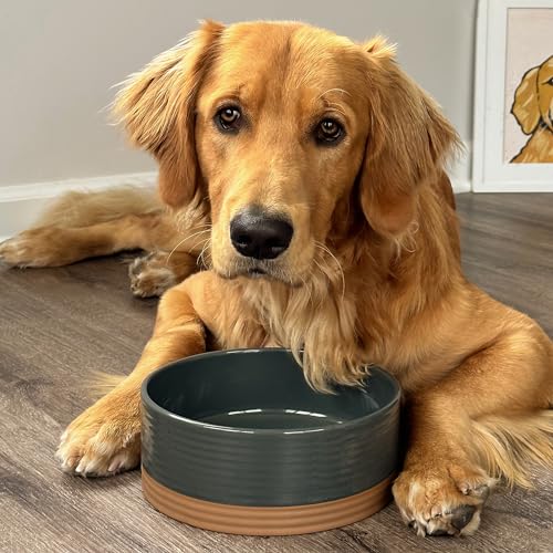 Mora Ceramic Pet Bowl Size Medium - Food/Water Dish for Large Puppies, Cats, Retrievers, Medium Sized Dogs, ect. 28oz or 4 Cups - Basic Bowls for Your Dog or Cat, Mix and Match for a Set - Charcoal - Thumbnail 6