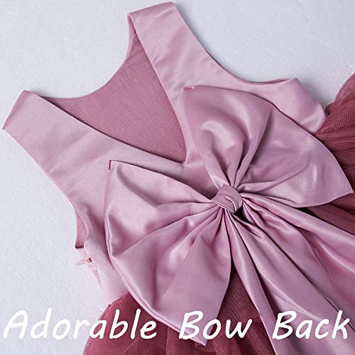 Chenbao Baby Girls Tutu Dress Birthday Party Gown Toddler Girls Princess Dress Infant Tulle Dresses Special Occasion Tiered A-Lined Sleeveless Summer Flower Girl Dress Prom Dusty Rose Size 6-12 Months #TOP2